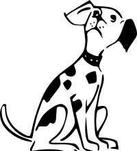 Dog looking