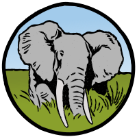 Elephant Circle - Colour Remix