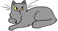 Cute cat