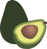 Avocado (#3)