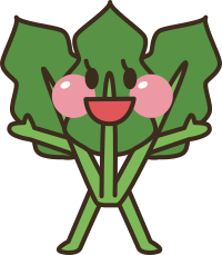 Spinach Head