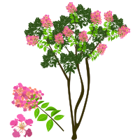 Flowering Tree