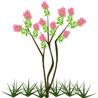 Flowering Tree