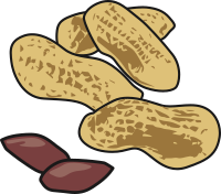 Peanuts