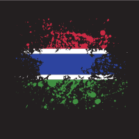 Gambia flag ink splash