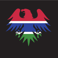 Gambian flag eagle emblem