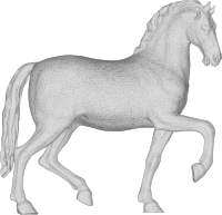Horse 3D