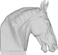 Horse Head 3D