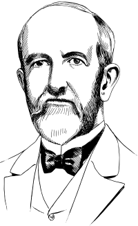 Balding Man's Face