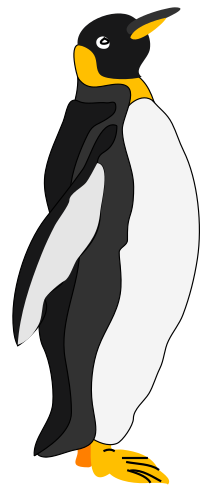 Architetto -- pinguino 1