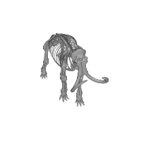 Aminated Mammoth Skeleton