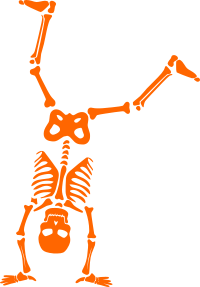 Halloween skeleton