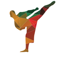 Martial arts fighter silhouette