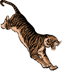 Jumping Tiger - Colour Remix