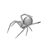 Animated Black Widow