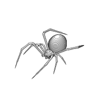 Animated Black Widow
