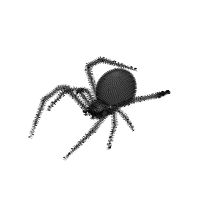 Animated Black Widow
