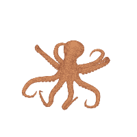 Animated Octopus