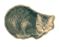 Moody Cat
