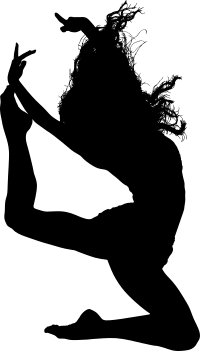 Dancer 2 By David Hofmann Silhouette