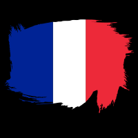 Painted flag of France