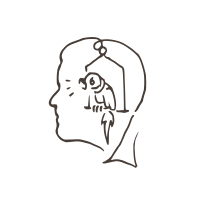 Voice inside your head