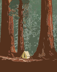 Camping in the Forest