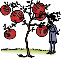 Man and Apple Tree