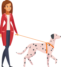 Woman Walking Dalmatian Dog