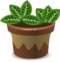 House Plant 2