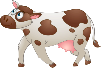 Cow