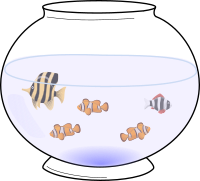 Fish in a Fishbowl