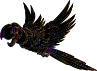 Parrot By GraphicMama-team Chromatique Line Art