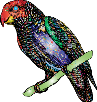 Parrot By OKSmith Prismatic