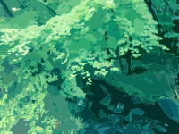 Green Nature Scene