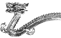 Asian Dragon - Outline