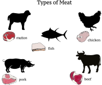Types of Meat