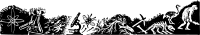 Science Divider