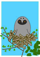 otus
