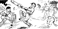 Cricket scene