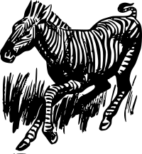 Zebra