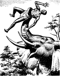 Elephant lifting man