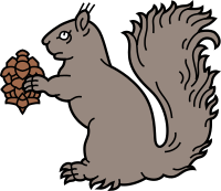 Squirrel