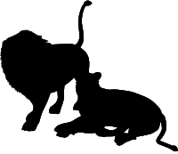 Lions silhouette