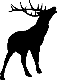 Deer silhouette