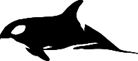 Orca