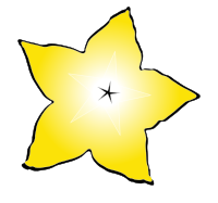 Star Fruit