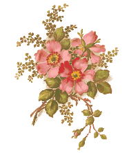 Vintage Roses