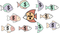School of fish