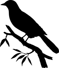 Bird Silhouette